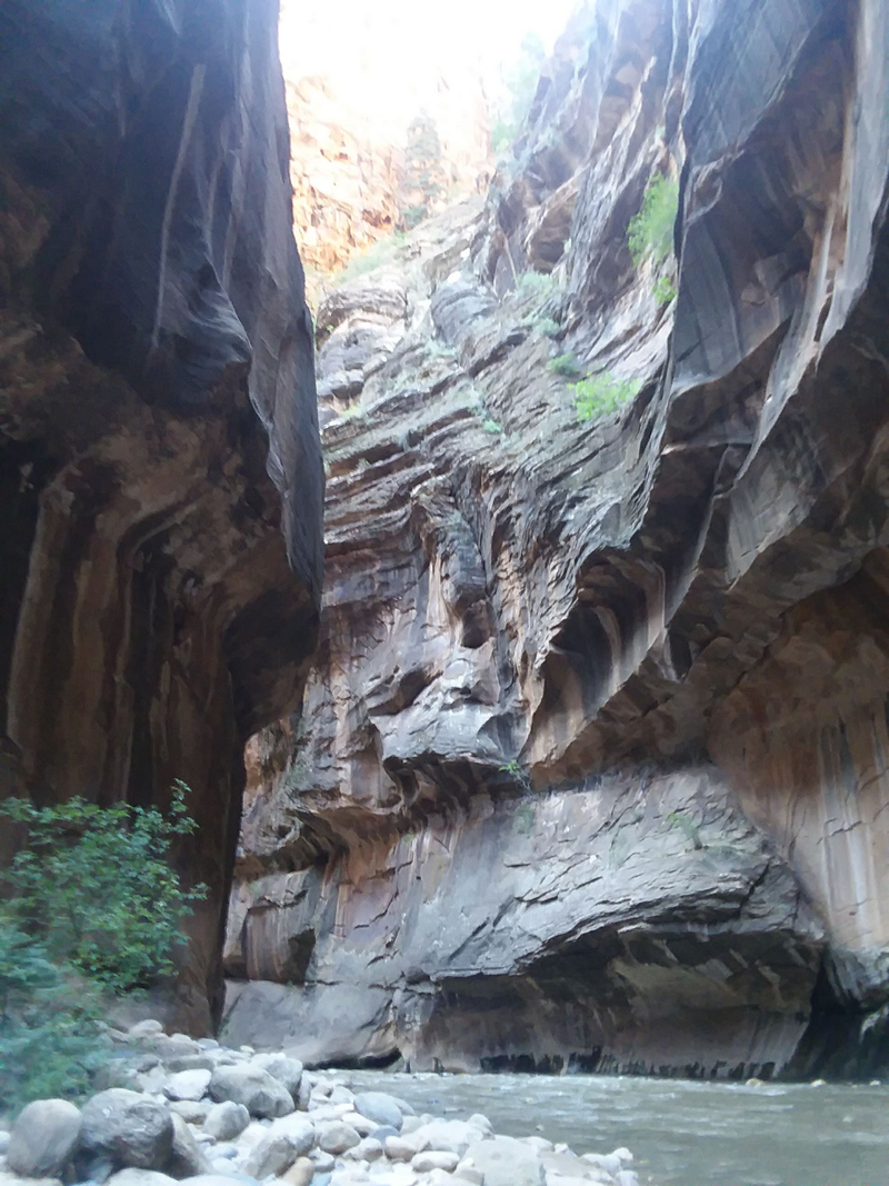 Illustration for article titled Zion National Park is what America is about.